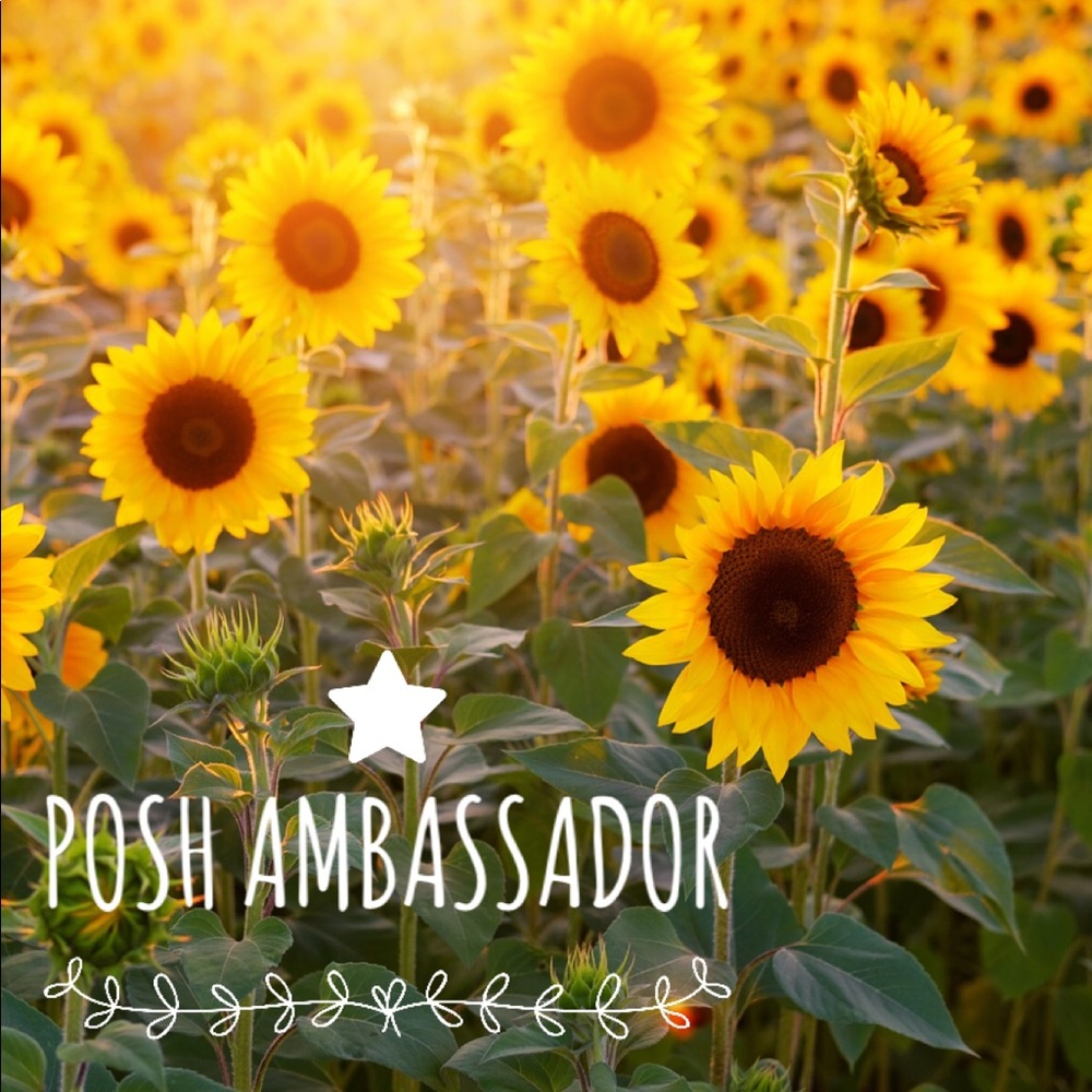 So excited to now be a Posh Ambassador! 🌻🌻🌻